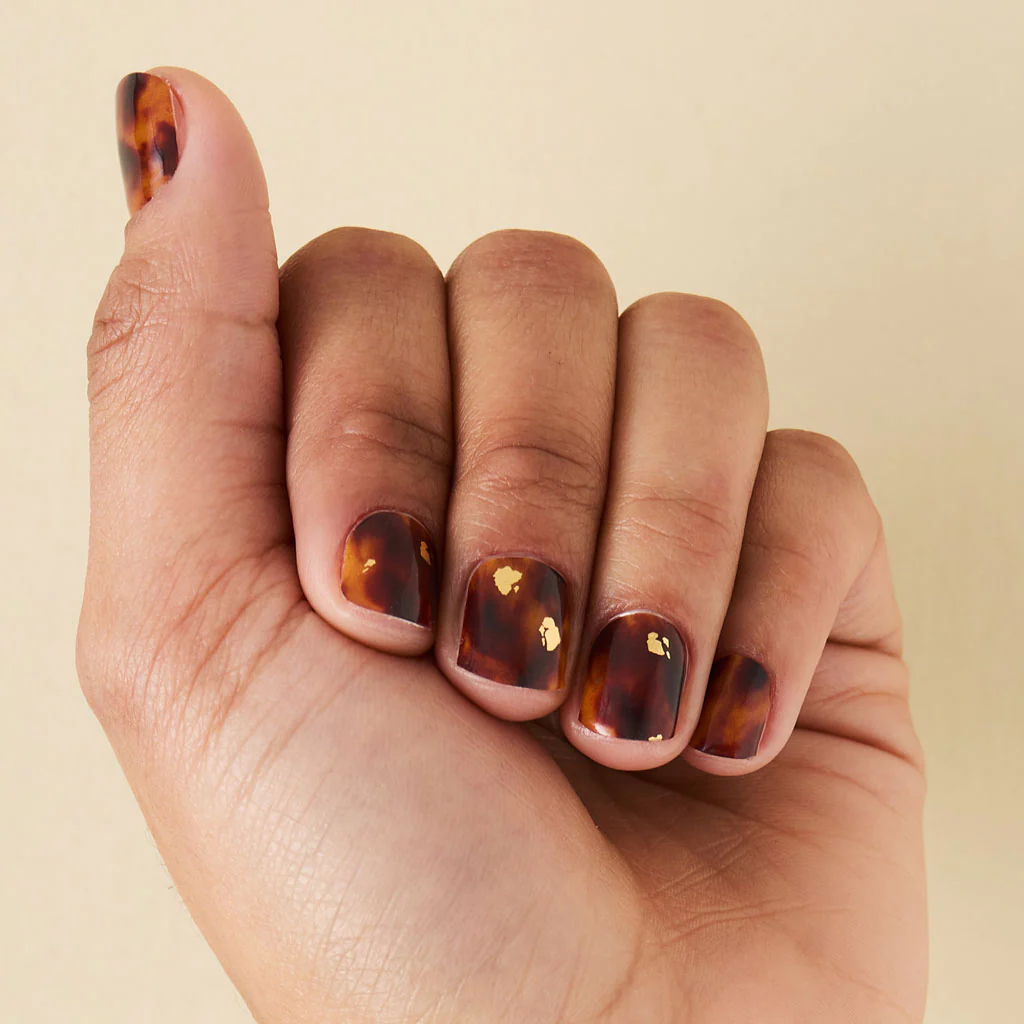 Sophisticated Shell - Image 2